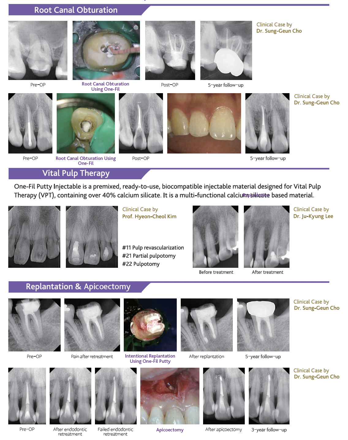 Product detail image