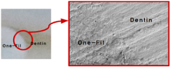 Product detail image