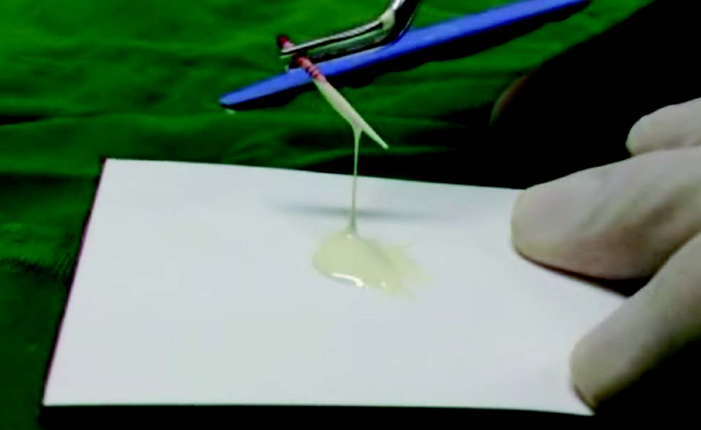 Product detail image