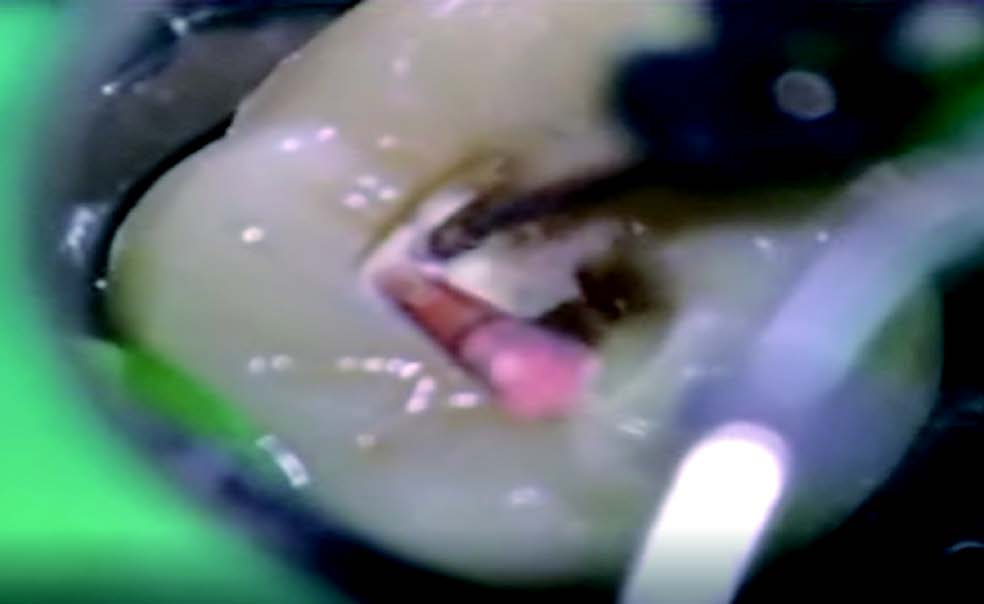Product detail image