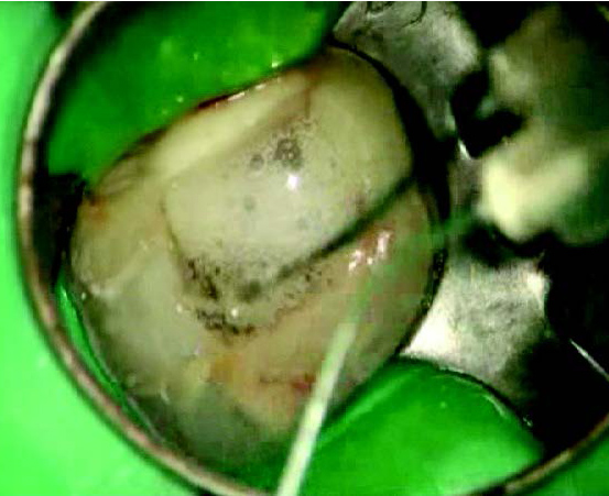 Product detail image