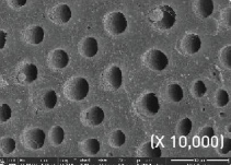 Product detail image