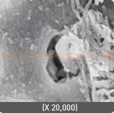 Product detail image