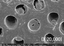 Product detail image