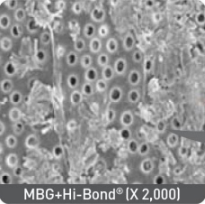 Product detail image